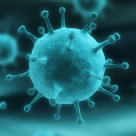 Infectious Diseases