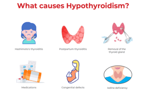 Thyroid Problems and Disease