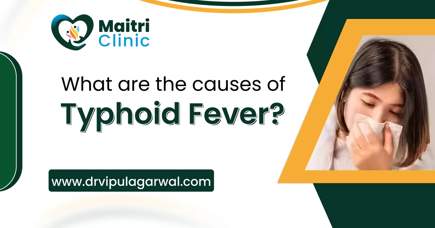 What are the Causes of Typhoid Fever?
