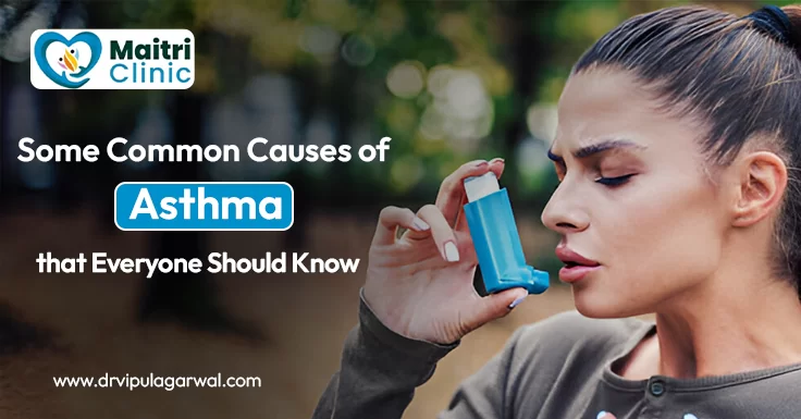 Some 10 Common Causes of Asthma That Everyone Should Know.